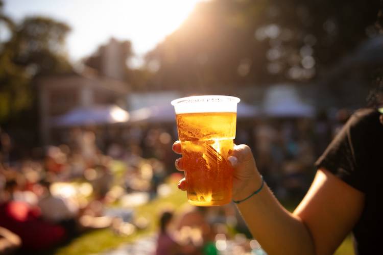 person holding a beer glass at an outdoor festival